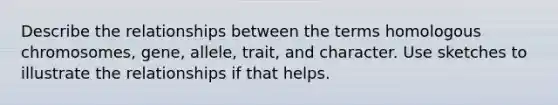 Describe the relationships between the terms homologous chromosomes, gene, allele, trait, and character. Use sketches to illustrate the relationships if that helps.