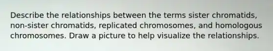 Describe the relationships between the terms sister chromatids, non-sister chromatids, replicated chromosomes, and homologous chromosomes. Draw a picture to help visualize the relationships.