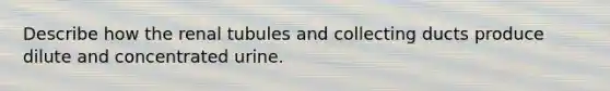 Describe how the renal tubules and collecting ducts produce dilute and concentrated urine.