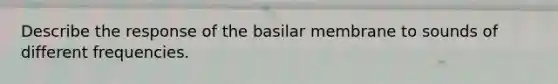 Describe the response of the basilar membrane to sounds of different frequencies.