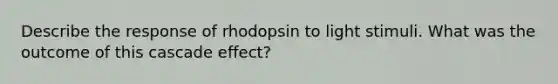 Describe the response of rhodopsin to light stimuli. What was the outcome of this cascade effect?