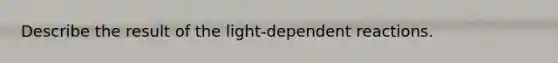 Describe the result of the light-dependent reactions.