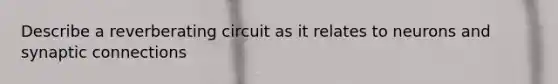 Describe a reverberating circuit as it relates to neurons and synaptic connections