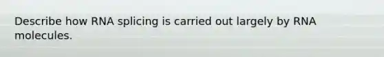 Describe how RNA splicing is carried out largely by RNA molecules.