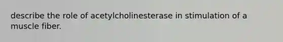 describe the role of acetylcholinesterase in stimulation of a muscle fiber.