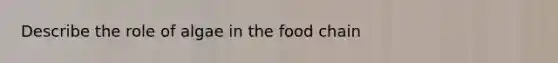 Describe the role of algae in the food chain