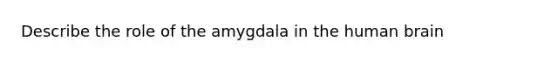 Describe the role of the amygdala in the human brain