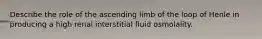 Describe the role of the ascending limb of the loop of Henle in producing a high renal interstitial fluid osmolality.