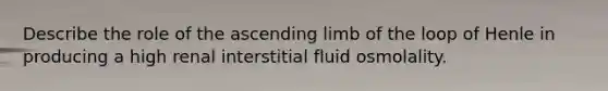 Describe the role of the ascending limb of the loop of Henle in producing a high renal interstitial fluid osmolality.