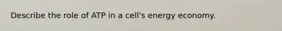 Describe the role of ATP in a cell's energy economy.