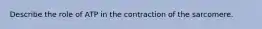 Describe the role of ATP in the contraction of the sarcomere.