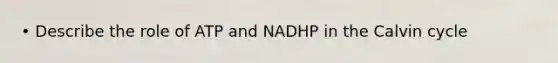 • Describe the role of ATP and NADHP in the Calvin cycle