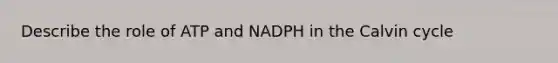 Describe the role of ATP and NADPH in the Calvin cycle