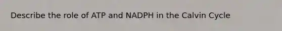 Describe the role of ATP and NADPH in the Calvin Cycle