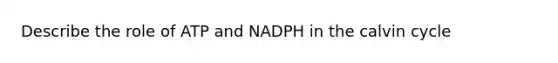 Describe the role of ATP and NADPH in the calvin cycle