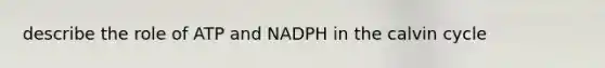 describe the role of ATP and NADPH in the calvin cycle