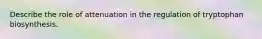 Describe the role of attenuation in the regulation of tryptophan biosynthesis.