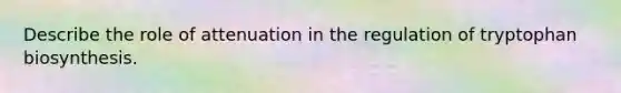 Describe the role of attenuation in the regulation of tryptophan biosynthesis.