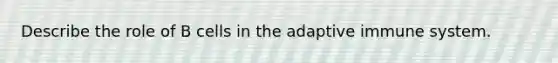 Describe the role of B cells in the adaptive immune system.