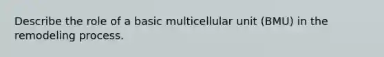 Describe the role of a basic multicellular unit (BMU) in the remodeling process.