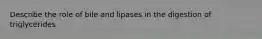 Describe the role of bile and lipases in the digestion of triglycerides