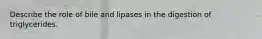 Describe the role of bile and lipases in the digestion of triglycerides.