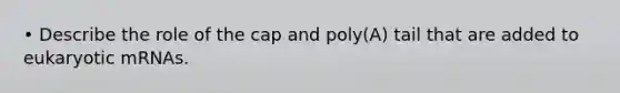 • Describe the role of the cap and poly(A) tail that are added to eukaryotic mRNAs.