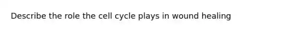 Describe the role the cell cycle plays in wound healing