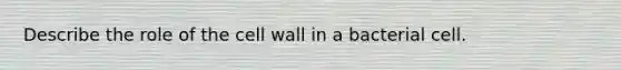 Describe the role of the cell wall in a bacterial cell.