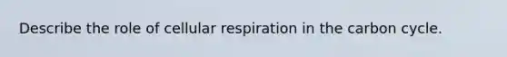 Describe the role of cellular respiration in the carbon cycle.