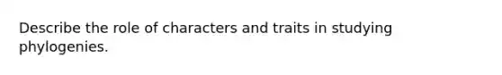 Describe the role of characters and traits in studying phylogenies.