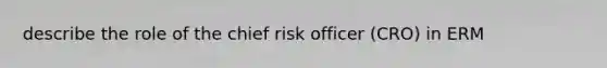 describe the role of the chief risk officer (CRO) in ERM