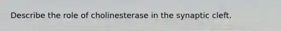 Describe the role of cholinesterase in the synaptic cleft.