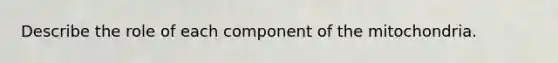 Describe the role of each component of the mitochondria.