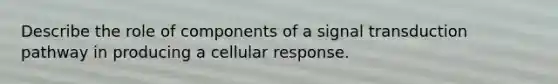 Describe the role of components of a signal transduction pathway in producing a cellular response.