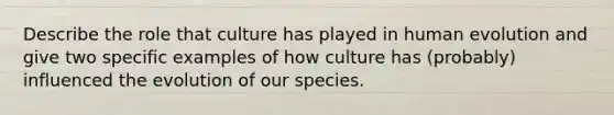 Describe the role that culture has played in human evolution and give two specific examples of how culture has (probably) influenced the evolution of our species.