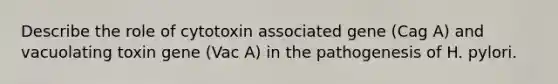 Describe the role of cytotoxin associated gene (Cag A) and vacuolating toxin gene (Vac A) in the pathogenesis of H. pylori.