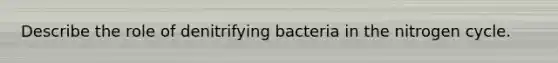 Describe the role of denitrifying bacteria in the nitrogen cycle.