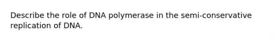 Describe the role of DNA polymerase in the semi-conservative replication of DNA.