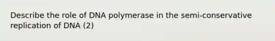 Describe the role of DNA polymerase in the semi-conservative replication of DNA (2)