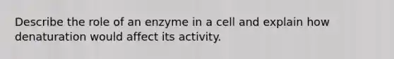 Describe the role of an enzyme in a cell and explain how denaturation would affect its activity.