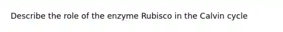 Describe the role of the enzyme Rubisco in the Calvin cycle