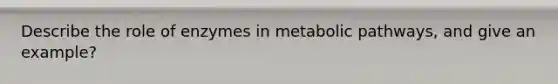 Describe the role of enzymes in metabolic pathways, and give an example?