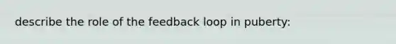 describe the role of the feedback loop in puberty: