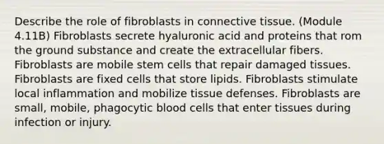 Describe the role of fibroblasts in connective tissue. (Module 4.11B) Fibroblasts secrete hyaluronic acid and proteins that rom the ground substance and create the extracellular fibers. Fibroblasts are mobile stem cells that repair damaged tissues. Fibroblasts are fixed cells that store lipids. Fibroblasts stimulate local inflammation and mobilize tissue defenses. Fibroblasts are small, mobile, phagocytic blood cells that enter tissues during infection or injury.