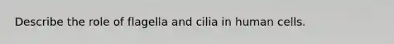 Describe the role of flagella and cilia in human cells.