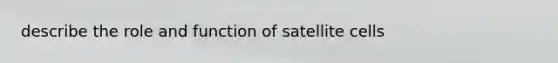 describe the role and function of satellite cells