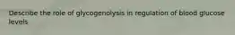 Describe the role of glycogenolysis in regulation of blood glucose levels