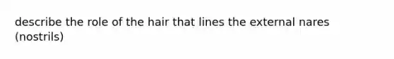 describe the role of the hair that lines the external nares (nostrils)