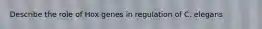 Describe the role of Hox genes in regulation of C. elegans